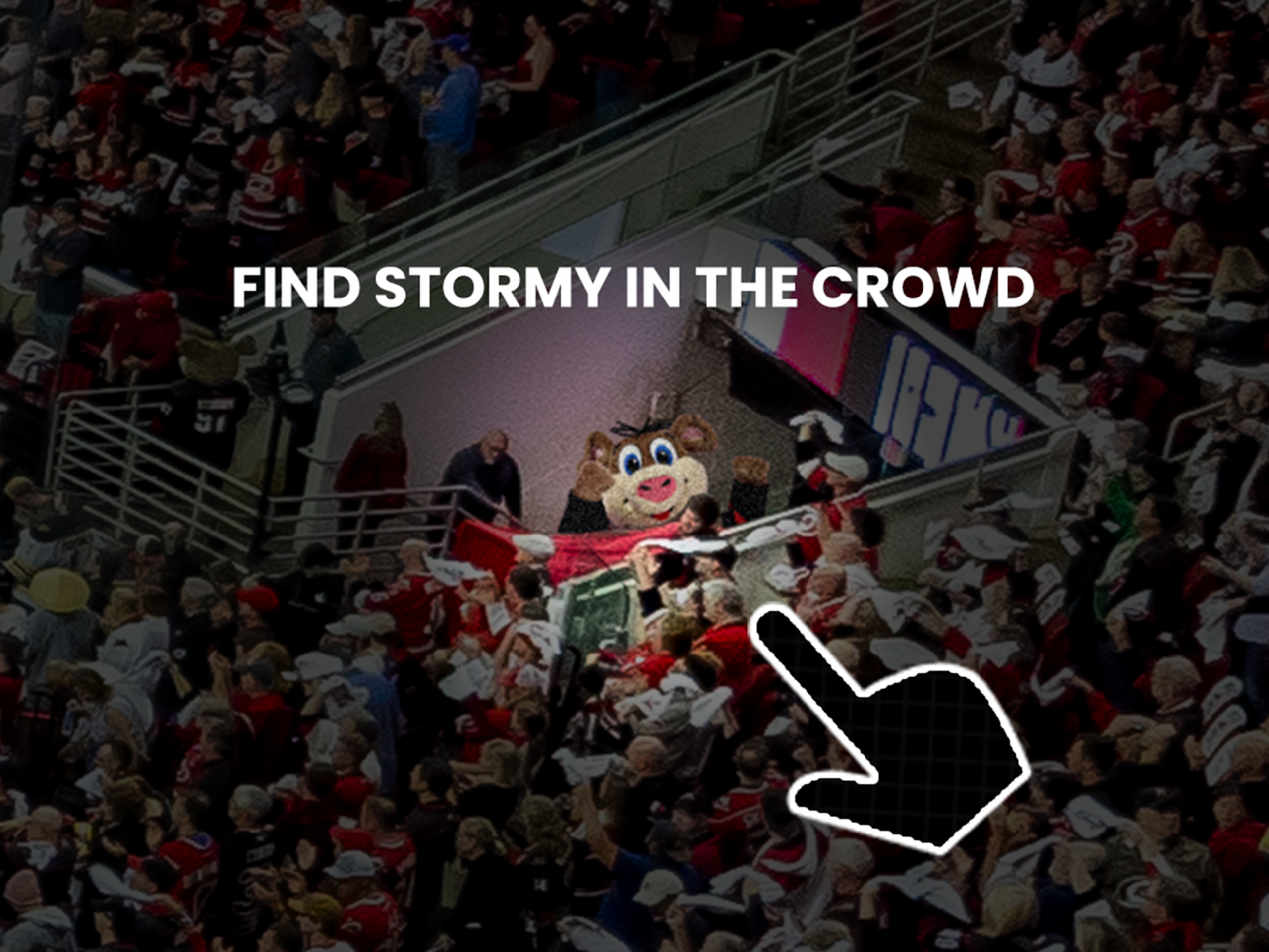 Where’s Waldo Style Experiences-image